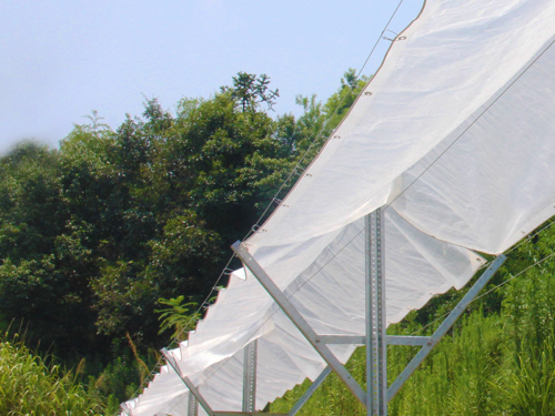 Table Grape Rain Cover Systems