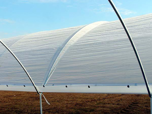 Greenhouse Plastic Tarpaulin Cover