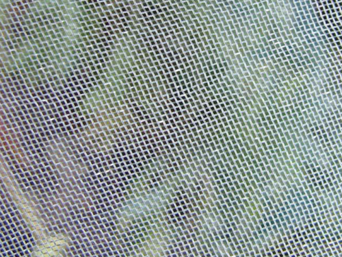 Vegetable Insect Mesh Netting