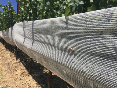 Vineyard Fruit Zone Netting