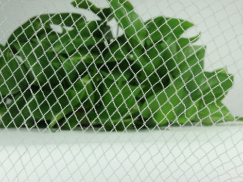 crop protection netting anti-bird
